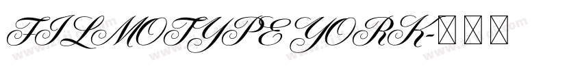 FILMOTYPE YORK字体转换